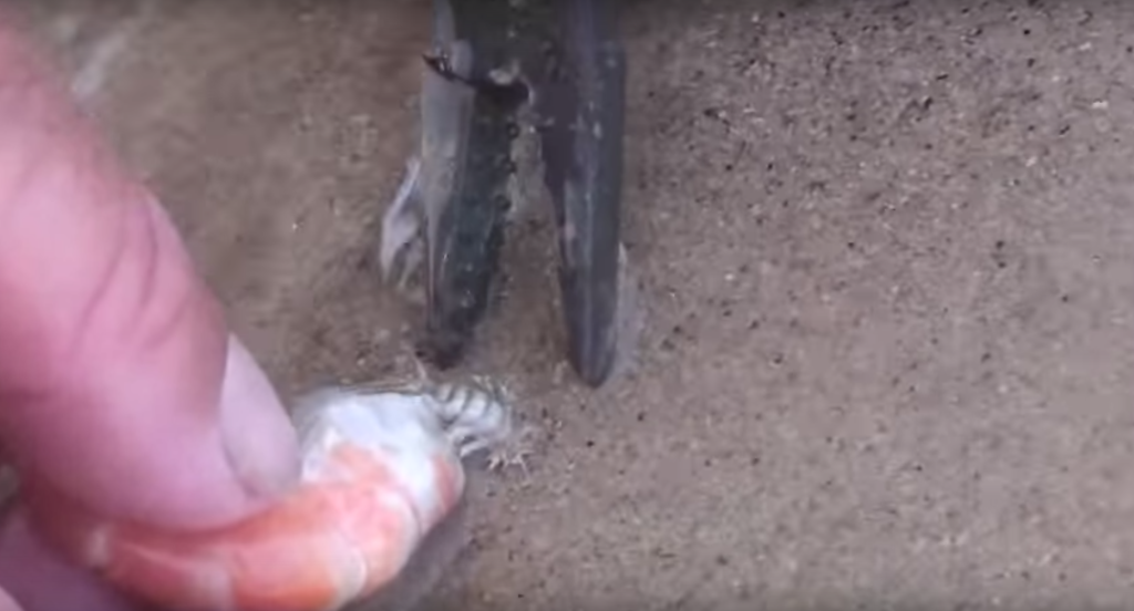 螢幕快照 2015-09-03 22.56.53