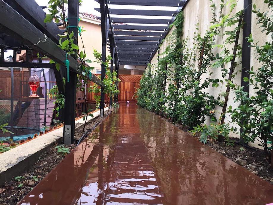 "This is the upper walkway area. I framed a 50' x 3' scooter path using pressure treated 2x4s and pressure treated 3/4" plywood and staining it the same redwood color as the deck. Also I planted a bunch of jasmine against the wall and wisteria at every post."