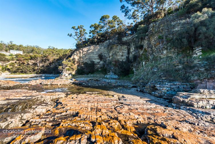 0ba564fd-e367-46e8-b5bc-b49a2bc2d470