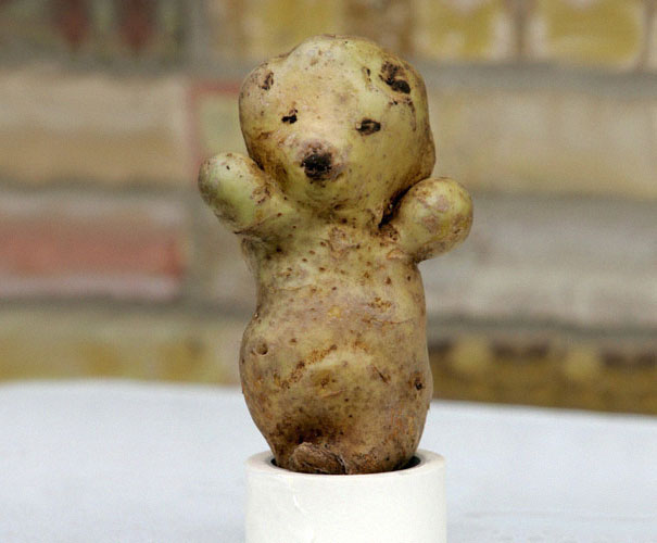 unusual-shape-fruit-vegetables-103__605