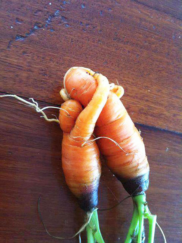 unusual-shape-fruit-vegetables-16__605