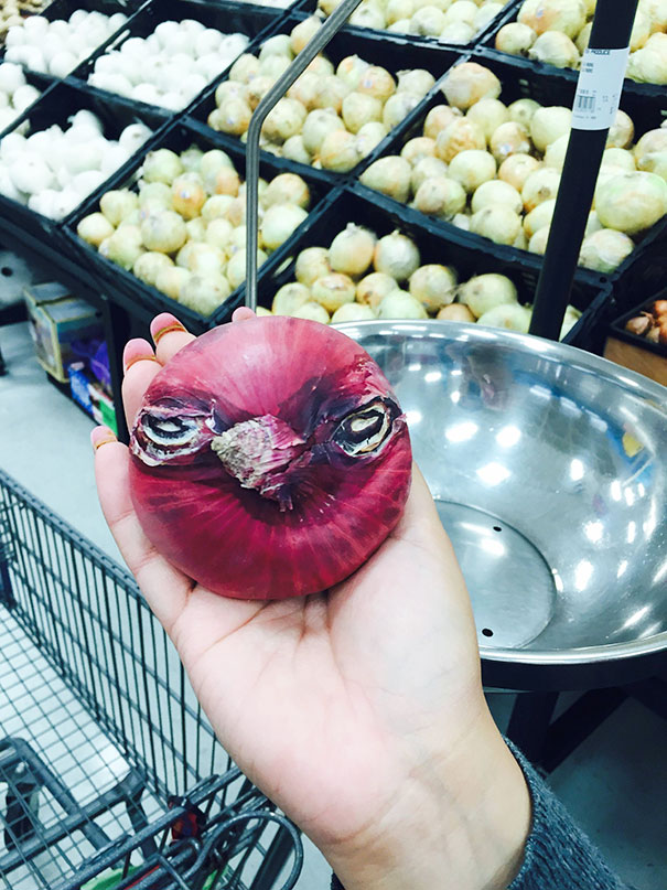 unusual-shape-fruit-vegetables-5__605