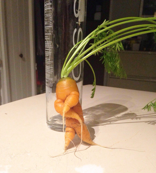 unusual-shape-fruit-vegetables-3__605