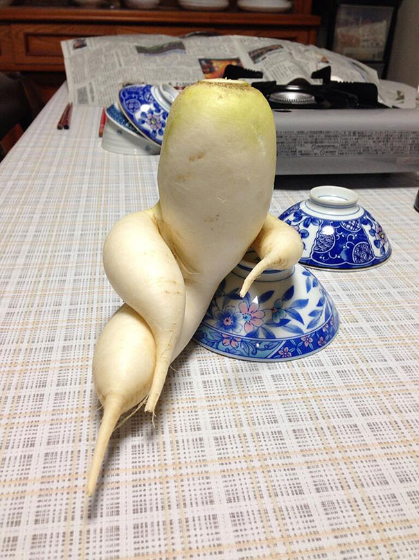 unusual-shape-fruit-vegetables-101__605