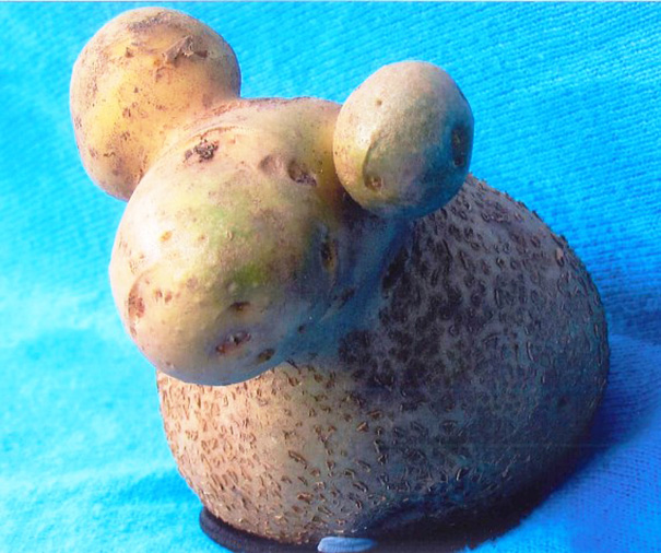 unusual-shape-fruit-vegetables-22__605