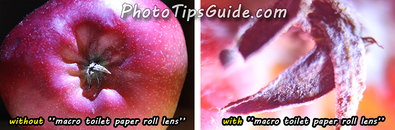 without-and-with-’’macro-toilet-paper-roll-lens’’-2