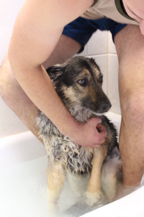 "My parents know I don't like baths during them, but they know how happy I am afterwards to be clean and smelling great. Must do before your forever nap. 10/10, would recommend."