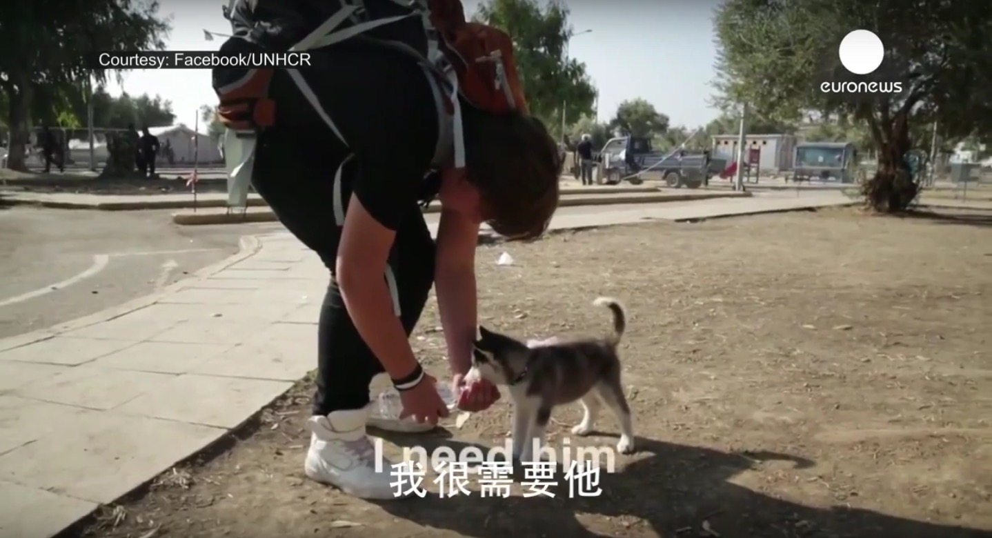 螢幕快照 2015-09-22 下午12.57.30