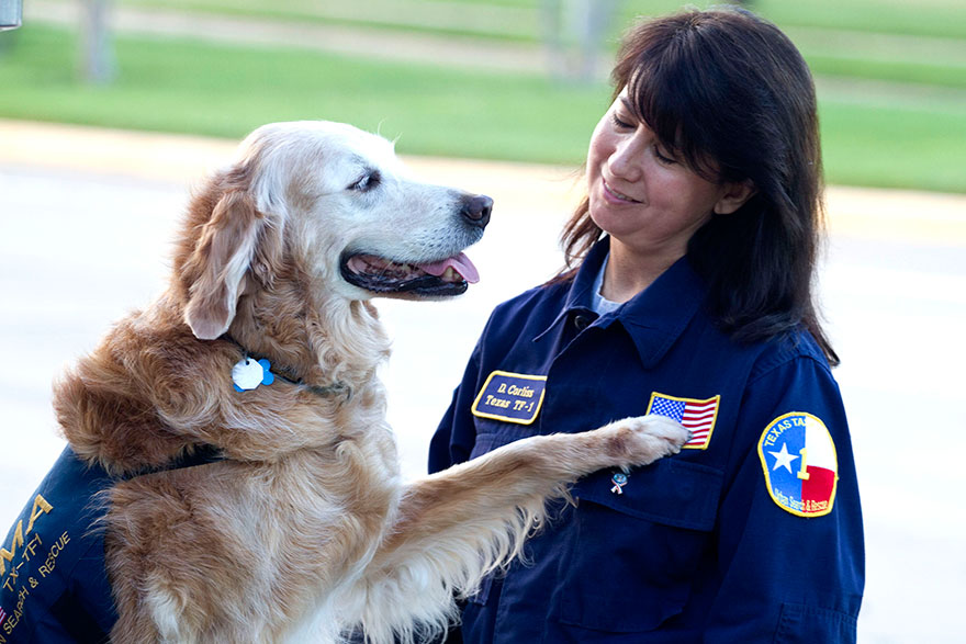 last-9-11-rescue-dog-birthday-party-new-york-bretagne-denise-corliss-8