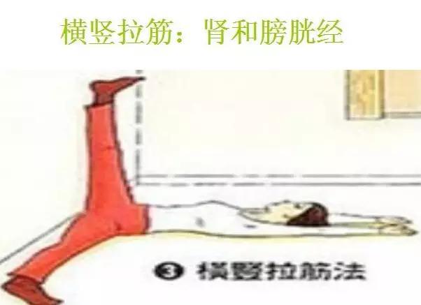 神奇的拉筋 哪條經絡出問題就按圖拉吧
