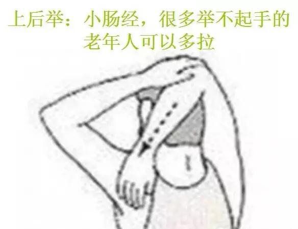 神奇的拉筋 哪條經絡出問題就按圖拉吧