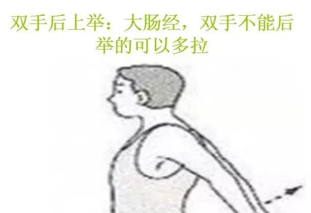 神奇的拉筋 哪條經絡出問題就按圖拉吧