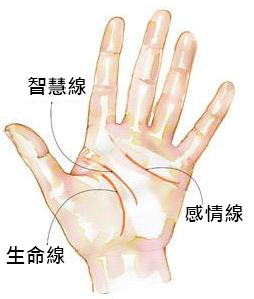 hand-read_300