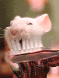 teeth9