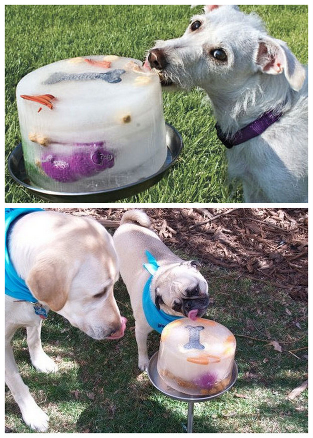 Make an ice lick by freezing toys, bones, and chicken broth into a cake mold.