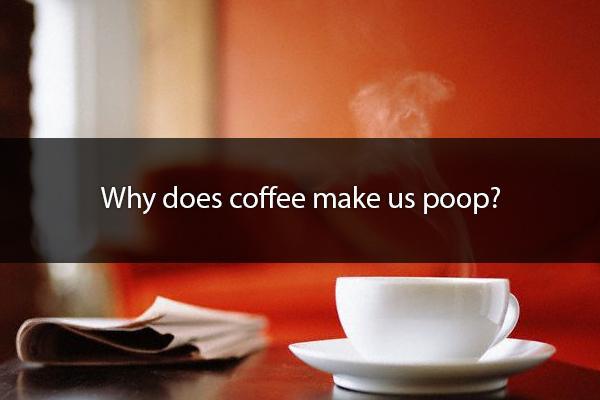 Everyone knows that feeling when you're about half-way through your morning coffee and then immediately looking for the bathroom. This happens because coffee helps stimulate muscle contractions in your large intestine and next thing you know, BOOM!