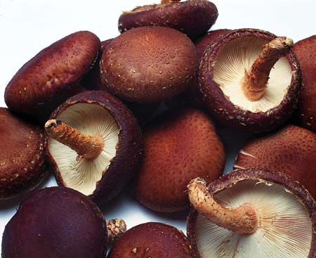鮮美香菇炒青筍 抗癌養生降血壓