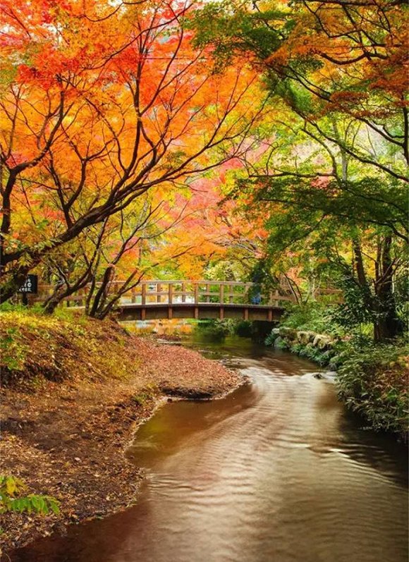 日本最美的5個隱世小鎮
