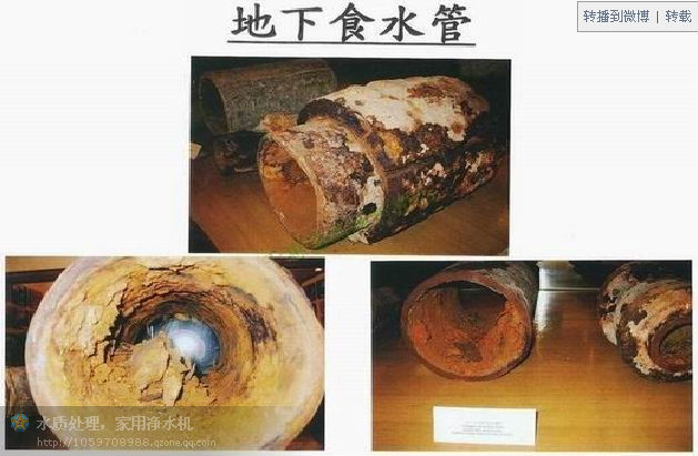 鐵鏽才是肝臟的臥底殺手