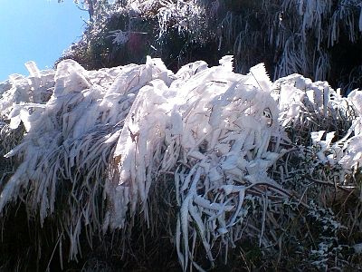 霸王寒流發威全台各地都飄起雪來了，看完這些照片你才相信「原來白色台灣真的太美了」！