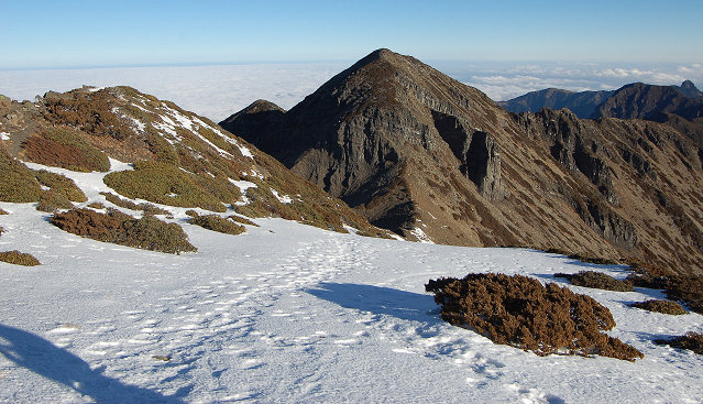 霸王寒流發威全台各地都飄起雪來了，看完這些照片你才相信「原來白色台灣真的太美了」！