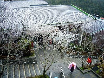 霸王寒流發威全台各地都飄起雪來了，看完這些照片你才相信「原來白色台灣真的太美了」！