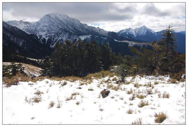 霸王寒流發威全台各地都飄起雪來了，看完這些照片你才相信「原來白色台灣真的太美了」！