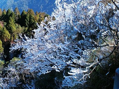霸王寒流發威全台各地都飄起雪來了，看完這些照片你才相信「原來白色台灣真的太美了」！