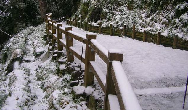 霸王寒流發威全台各地都飄起雪來了，看完這些照片你才相信「原來白色台灣真的太美了」！