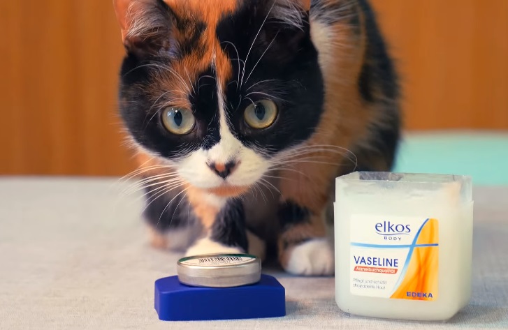 11招你完全沒想到過的「凡士林超實用妙招」，原來把紙插在裡頭會得到這麼棒的效果！