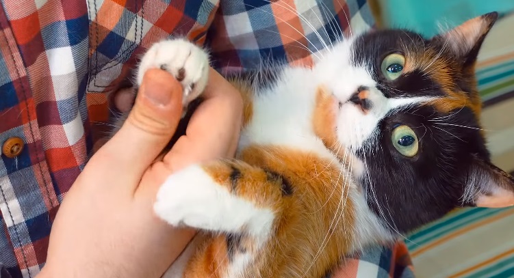 11招你完全沒想到過的「凡士林超實用妙招」，原來把紙插在裡頭會得到這麼棒的效果！