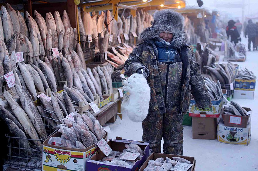 雅庫茨克的中央市集販賣的滿滿都是魚或肉類，因為這裡的氣候無法種植農作物。<BR><BR>