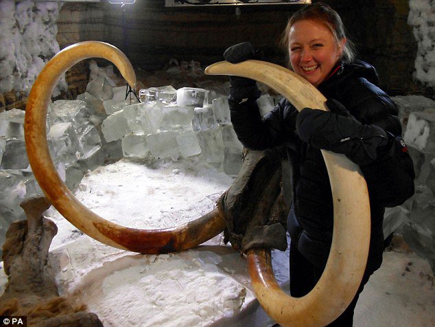 我們有可能親眼見到活生生的長毛象嗎？科學家在西伯利亞的雪中發現了保存非常完整的長毛象遺體，並表示長毛象的複製是有可能的。<BR><BR>這隻死於4萬年前的、被科學家暱稱為「毛毛」(Buttercup)的長毛象，將在本月稍晚的時候出現在紀錄片中。<BR><BR>