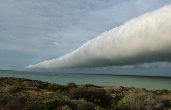 1. 弧狀雲 (Arcus clouds) 會以捲軸雲 (Roll clouds) 或灘雲 (Shelf clouds) 的形式出現，很長、且有水平的陣勢。<BR><BR> 灘雲會像是楔形物，而捲軸雲則很像是水管，這兩者都跟大氣的變化有關係。<!-- 電腦板-文章內插廣告-336X280 -->
<br><br>
<div align=