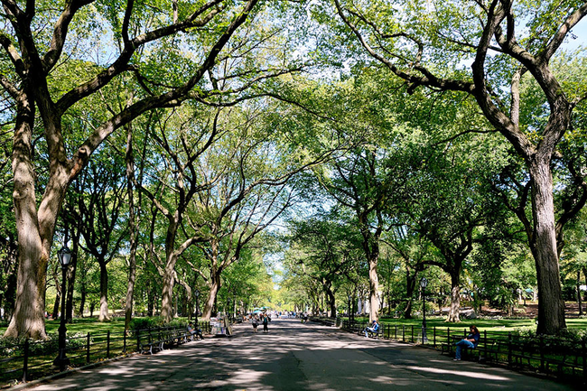 6）詩人的大道 - 中央公園，紐約。<BR><BR>