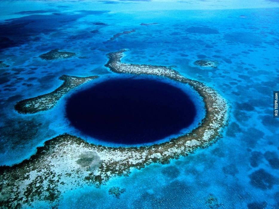 藍洞潛水：安伯格裏斯島(Ambergris Caye)伯利茲(Belize)