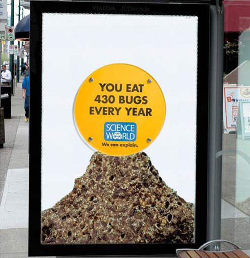 你每年會吃下430隻蟲。<BR><BR>