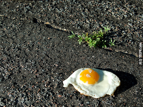 11. 要在人行道煎蛋，路面的溫度大約需要攝氏70度。<BR><BR>