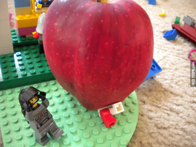 9. 世界上最大的蘋果跟1.8公升的牛奶一樣重。<BR><BR>