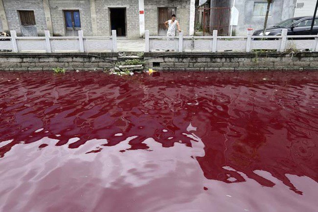中國大陸的水質汙染嚴重，以致於許多城市需要在乾淨的水上寫“可飲用”等字，以表示安全。<BR><BR>
