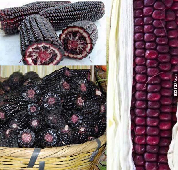 色的玉米，在玻利維亞(Bolivia)厄瓜多(Ecuador)祕魯(Peru)都找的到。<BR><BR>