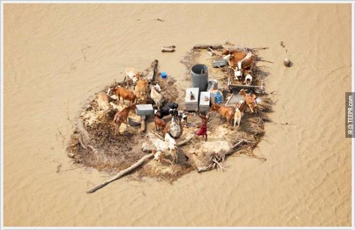 12）年輕男子被被洪水下面的季風，2010（巴基斯坦被困）