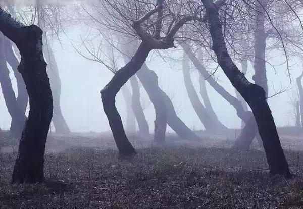 這才是真正的修養：不生氣，你就贏了！