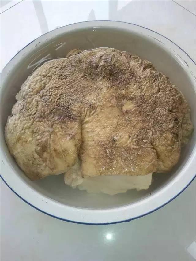 農民在自家地裡發現了一個外形奇特的東西，沒想到竟是……雖然價值不菲卻成了「燙手山芋」？