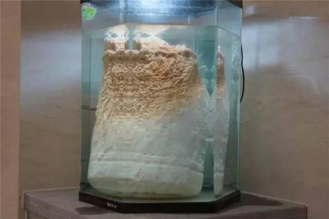 農民在自家地裡發現了一個外形奇特的東西，沒想到竟是……雖然價值不菲卻成了「燙手山芋」？