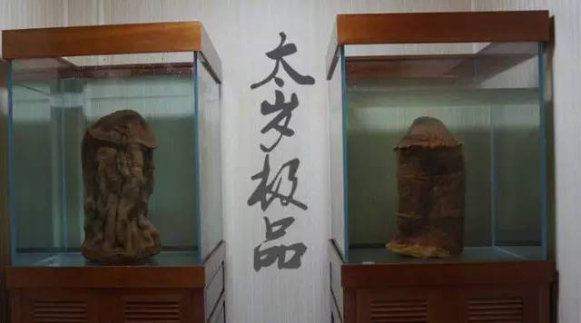 農民在自家地裡發現了一個外形奇特的東西，沒想到竟是……雖然價值不菲卻成了「燙手山芋」？