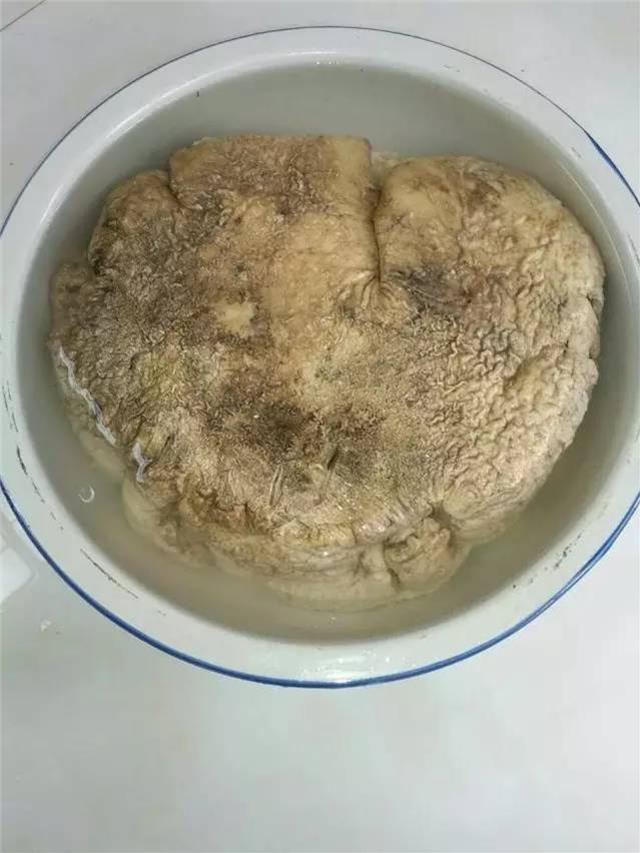 農民在自家地裡發現了一個外形奇特的東西，沒想到竟是……雖然價值不菲卻成了「燙手山芋」？