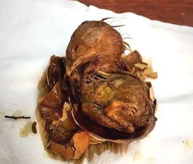 吃這種雞蛋當心小命不保！