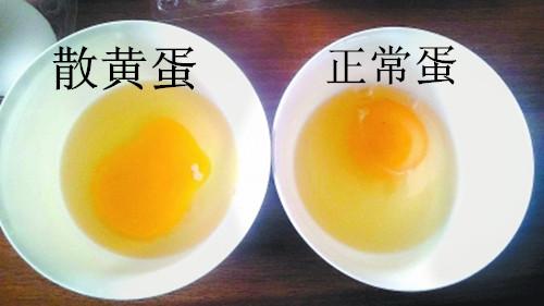 吃這種雞蛋當心小命不保！