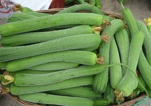 入夏以後吃它最合適！消暑降火、抗過敏、降壓降脂、抗衰老